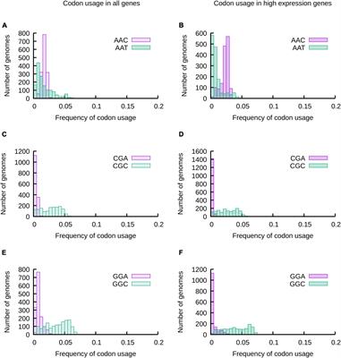 Impact of the chemical modification of tRNAs anticodon loop on the variability and evolution of codon usage in proteobacteria